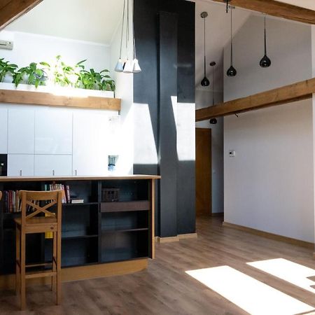 Loft W Centrum Gliwic Apartman Gliwice Kültér fotó