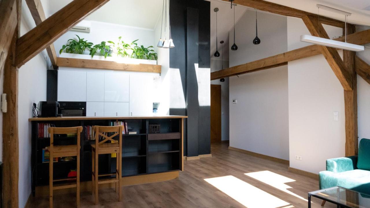 Loft W Centrum Gliwic Apartman Gliwice Kültér fotó