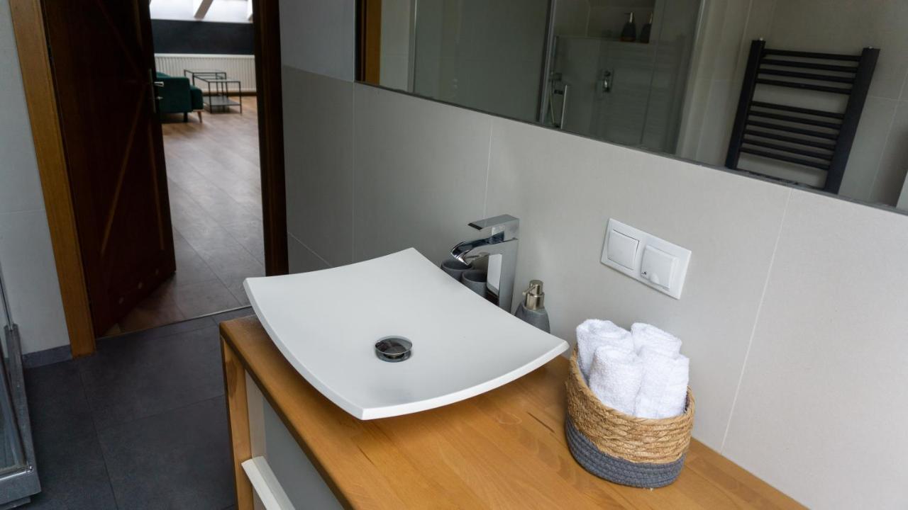 Loft W Centrum Gliwic Apartman Gliwice Kültér fotó